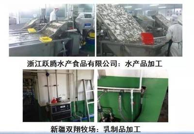 2017年云南農(nóng)業(yè)大學(xué)科技創(chuàng)新成果匯(一) 三大科學(xué)技術(shù)創(chuàng)新